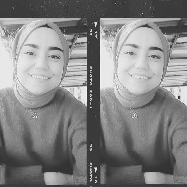 Didem