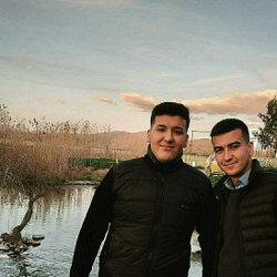 Umut
