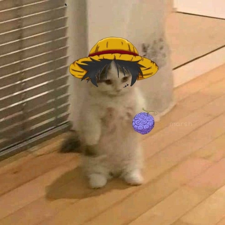 Maximiliano