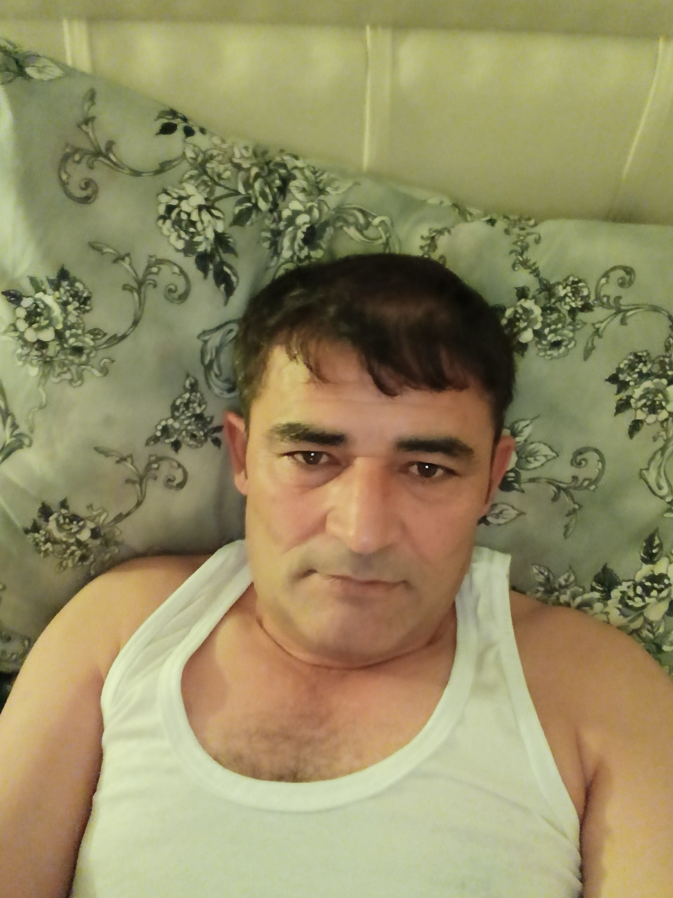 Bulut