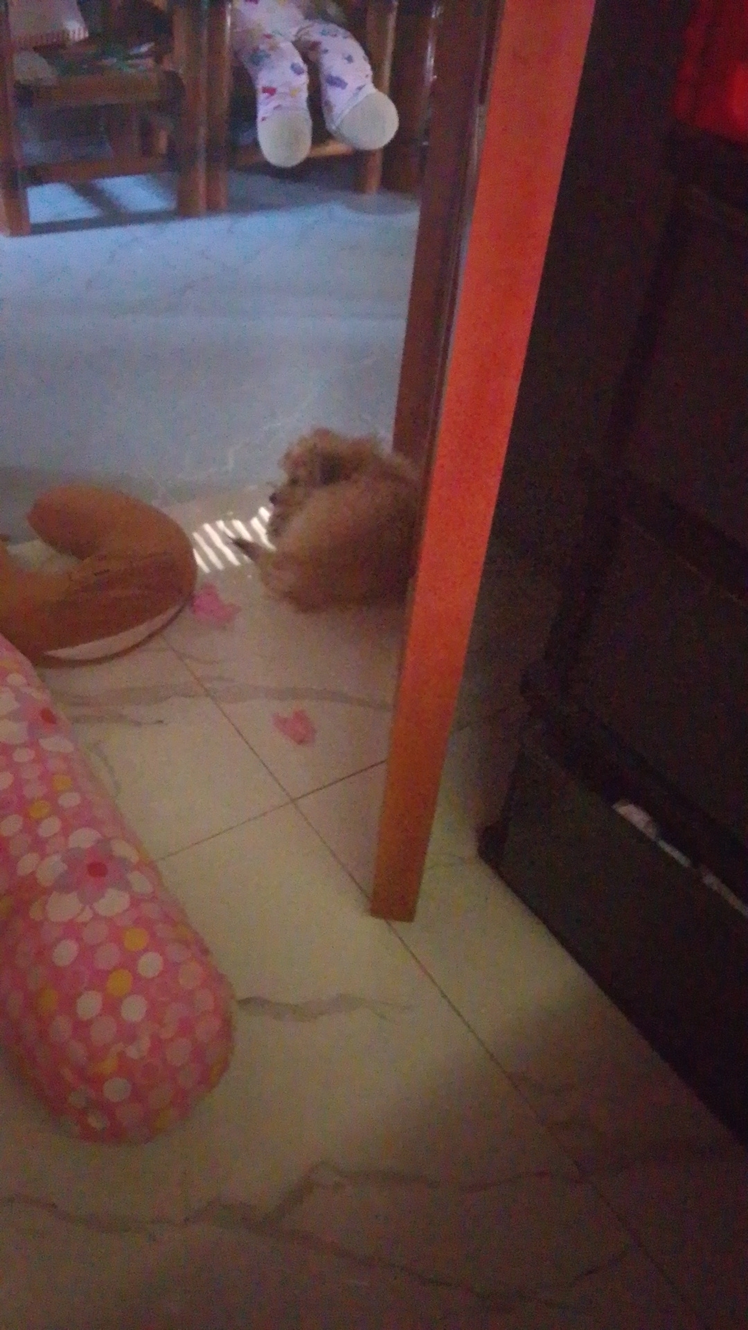 Adonie