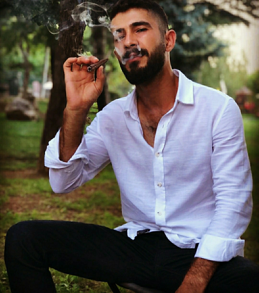 Barış
