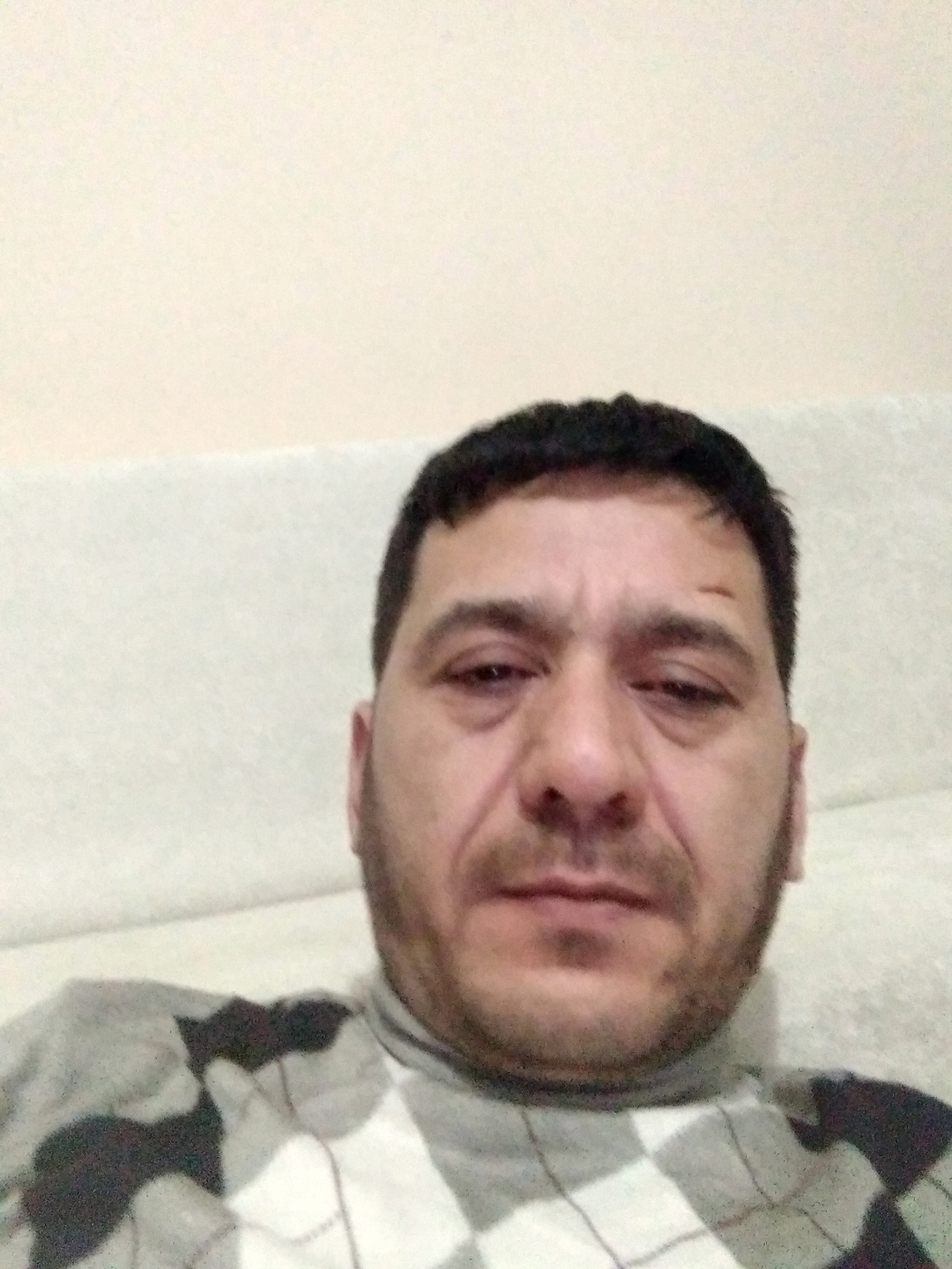Doğan
