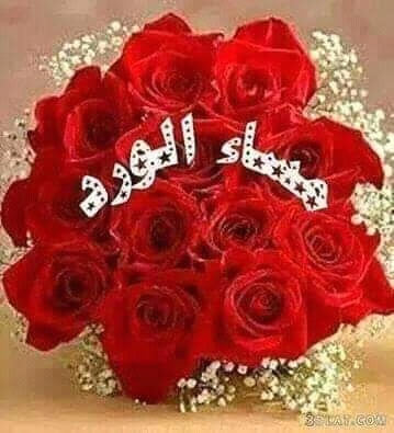اب