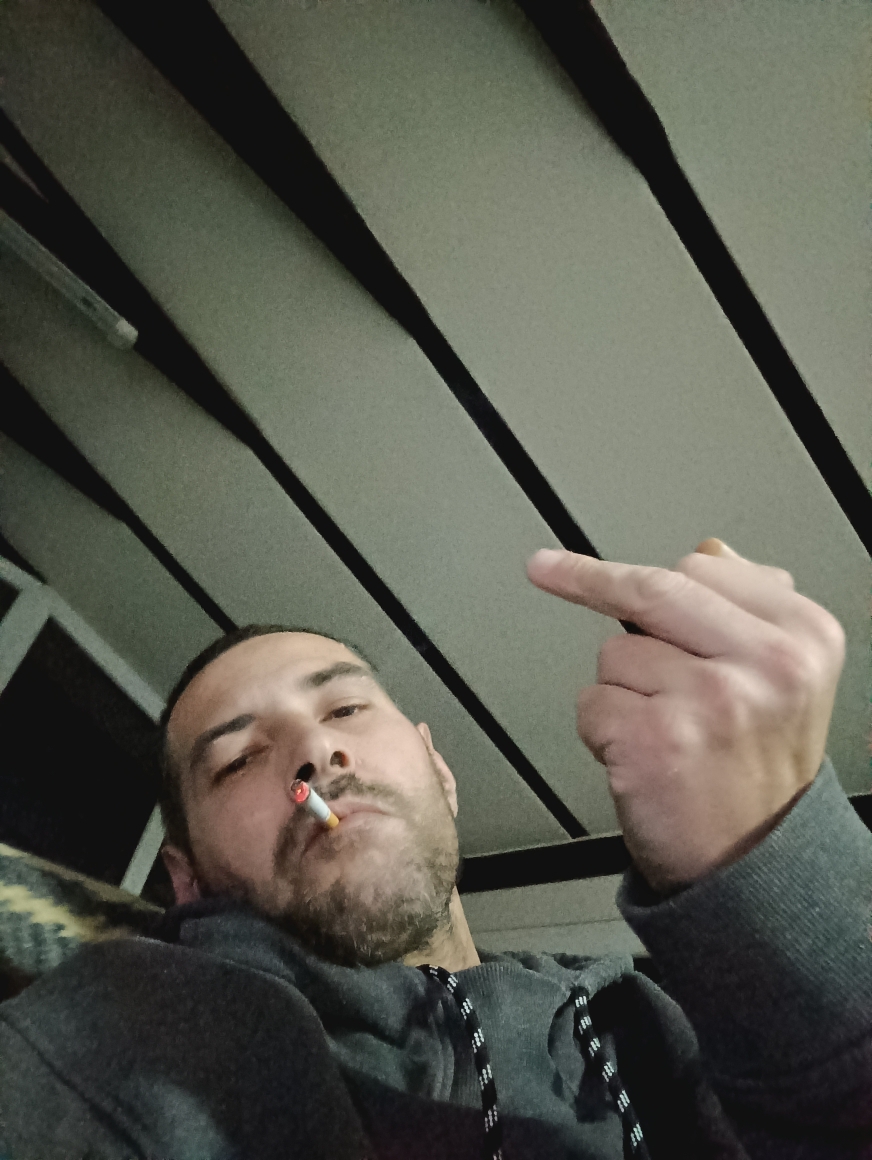Dalibor