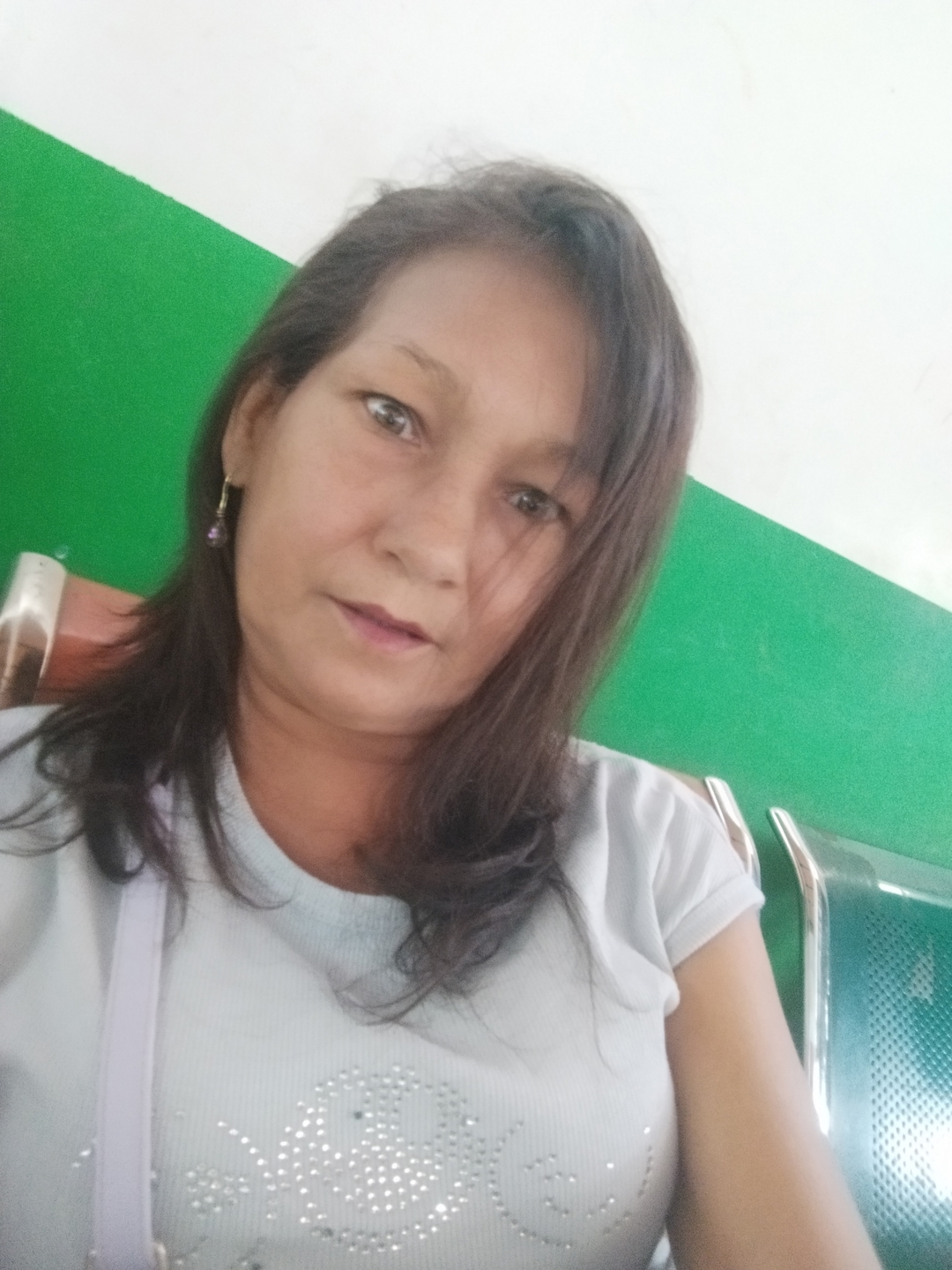 Mileivys