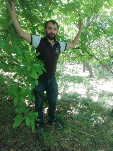 İsmail