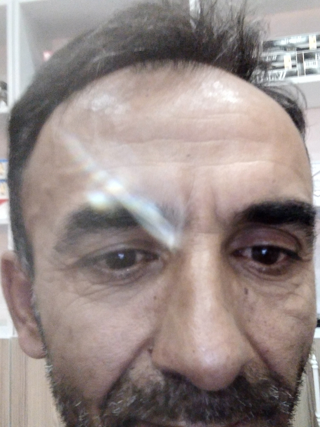 Lutfu