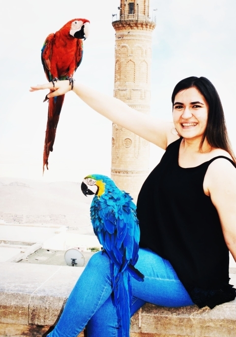 Özlem