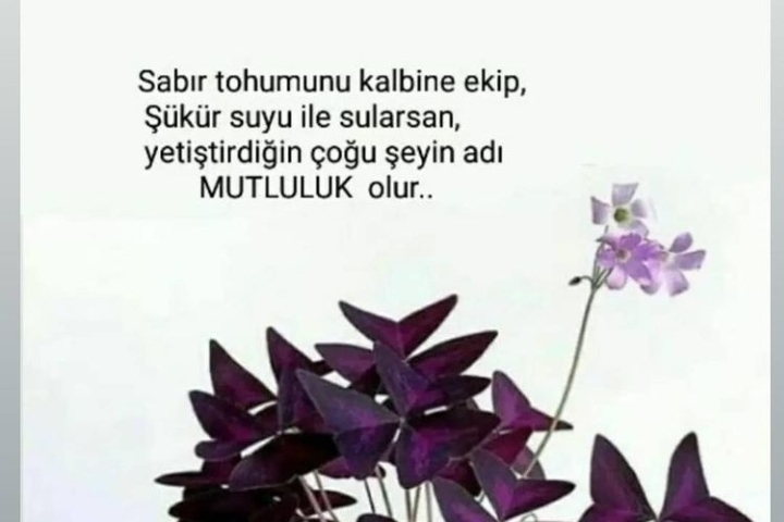 Derin