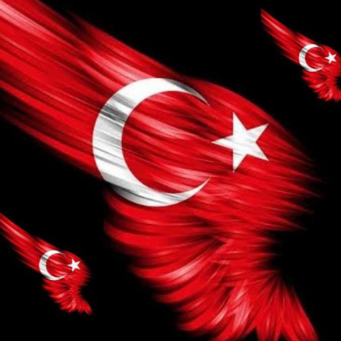 Orhan