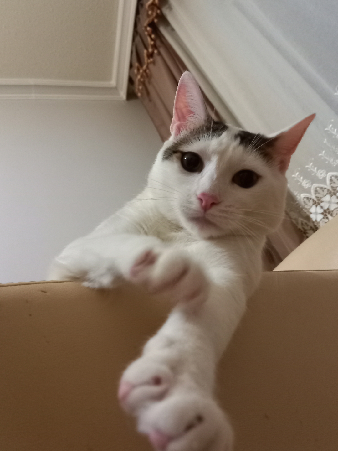 LEYLA