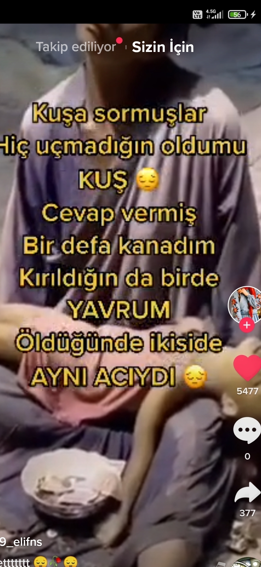 Gülistan