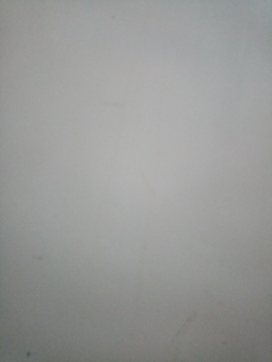 Abdulbaki