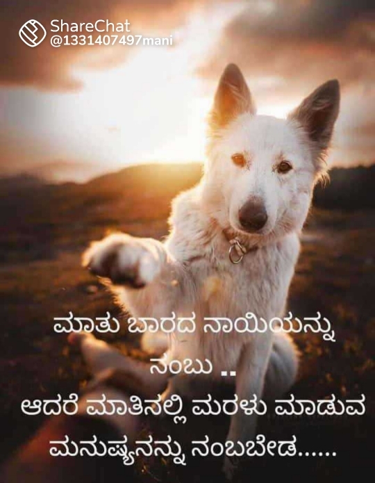 Yogesh