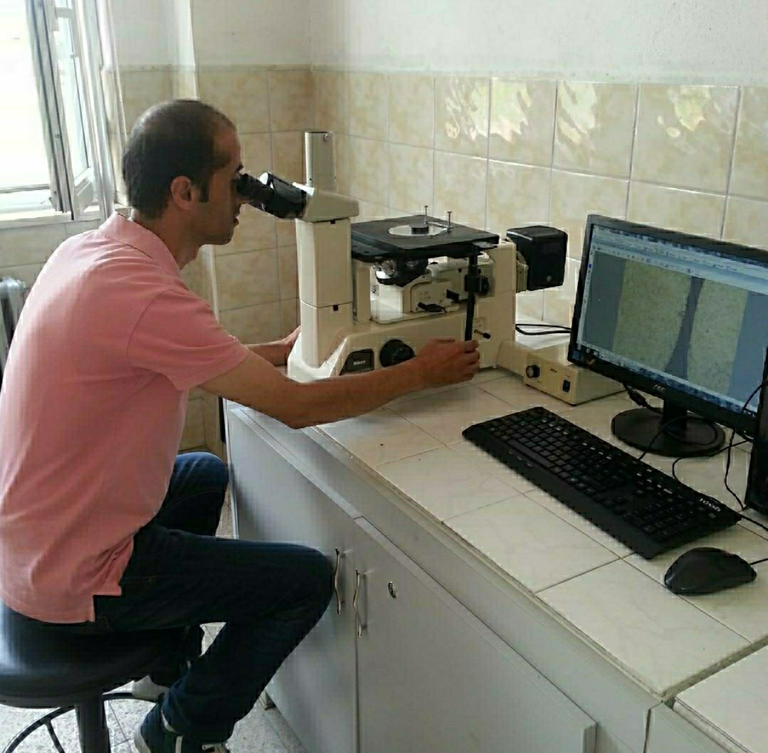 Murat