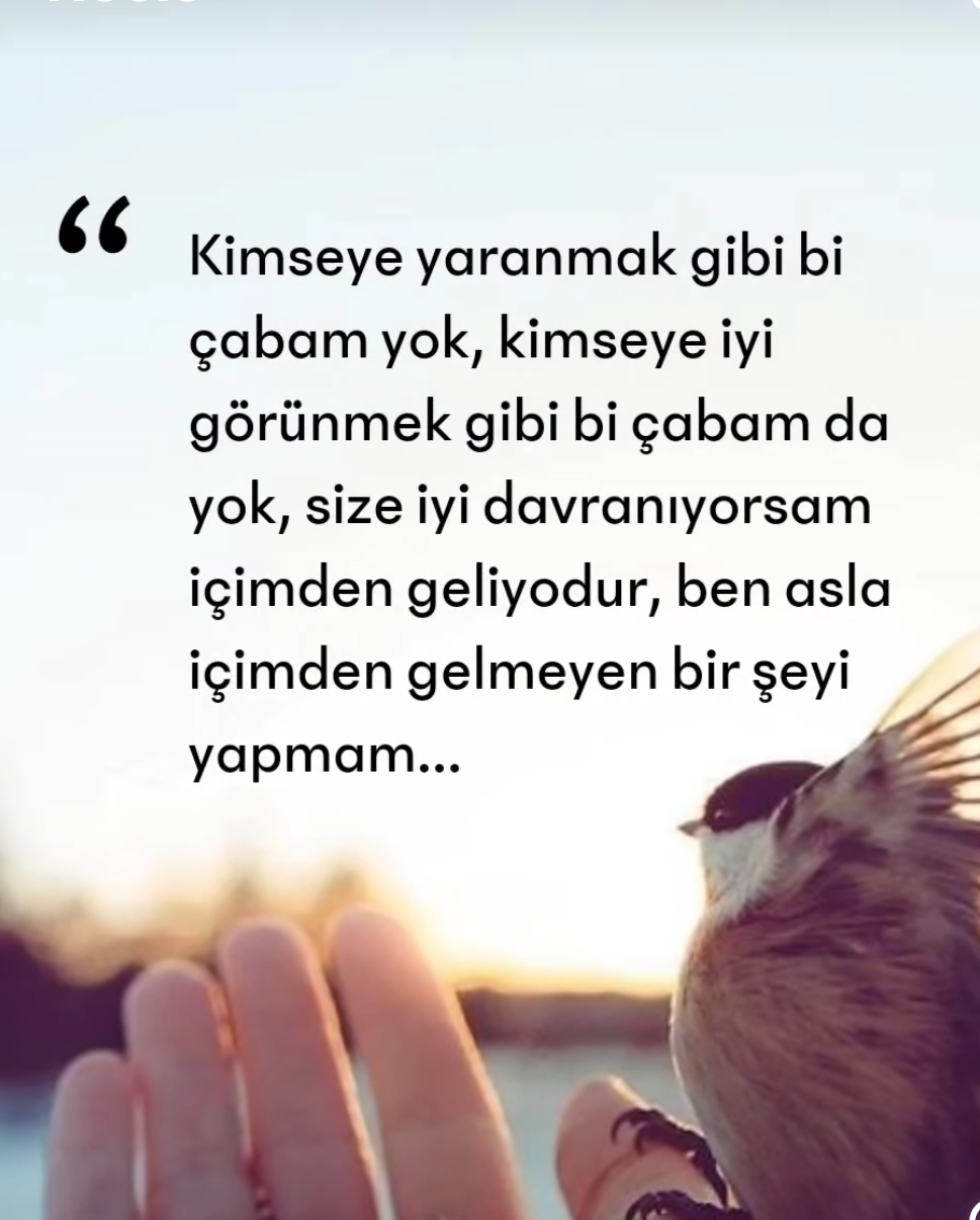 Hazal