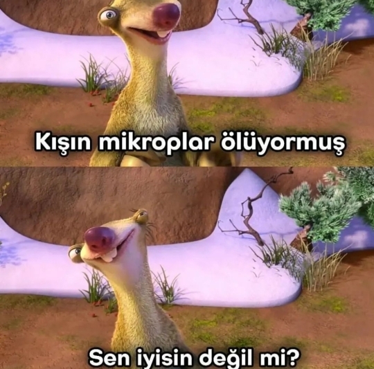 Neslihan