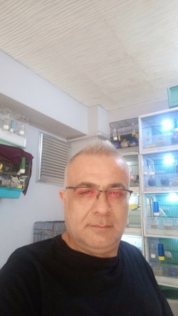 Okan