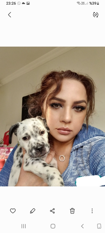 Leyla