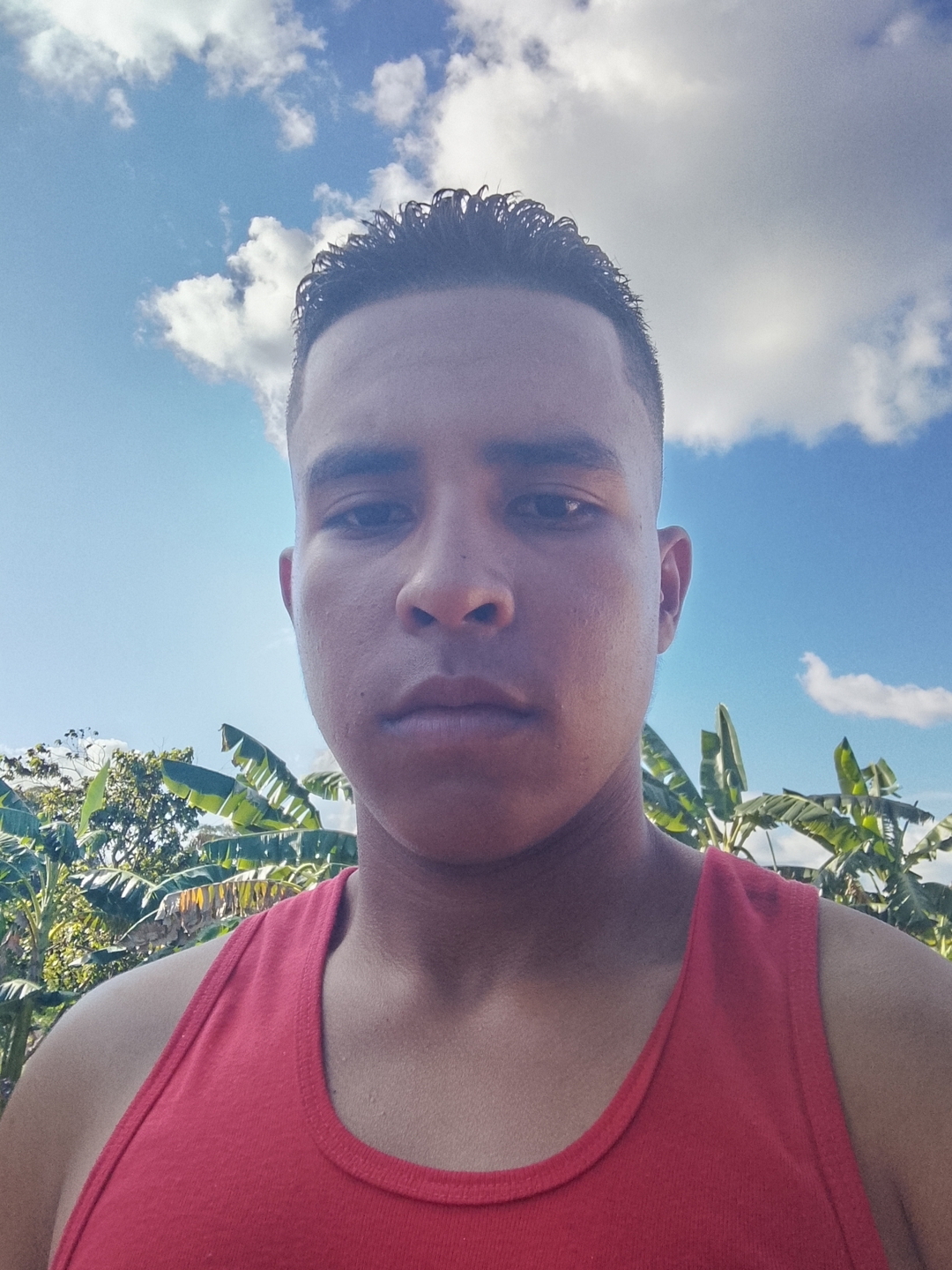 Simón