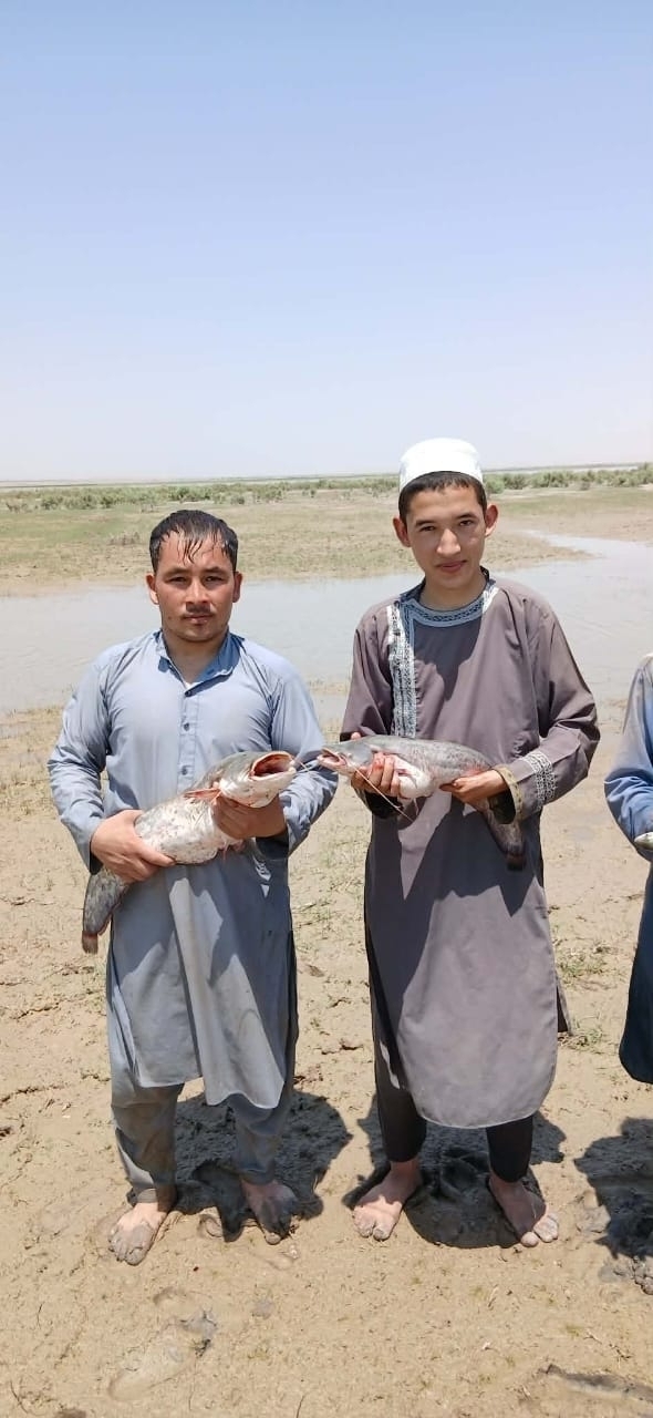 علی