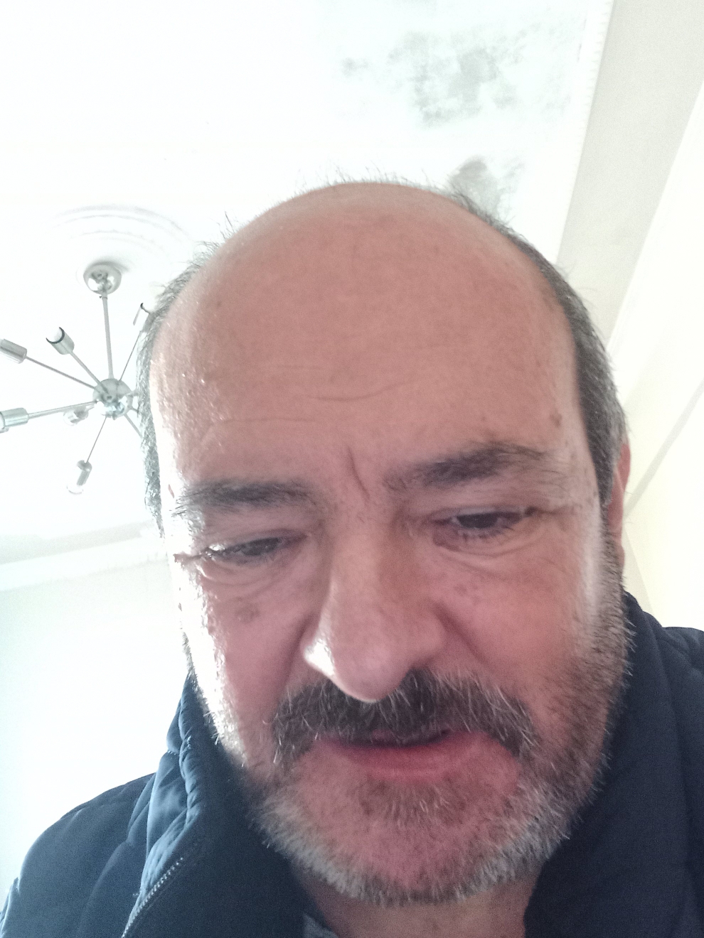 Vedat