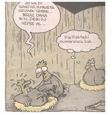 Selim