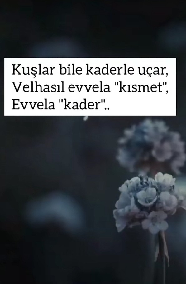 Pera