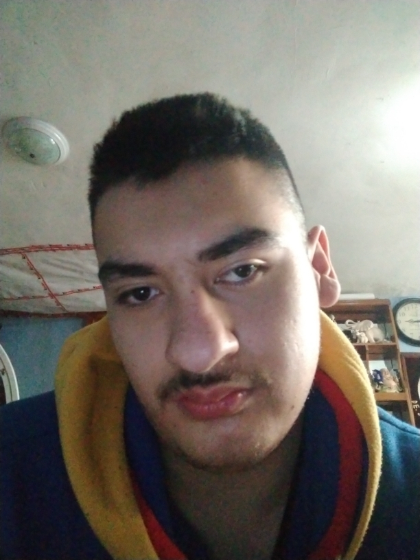 Brandon