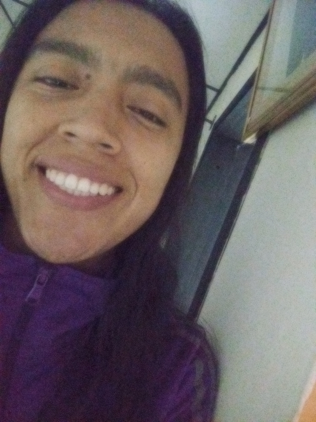 Aleja