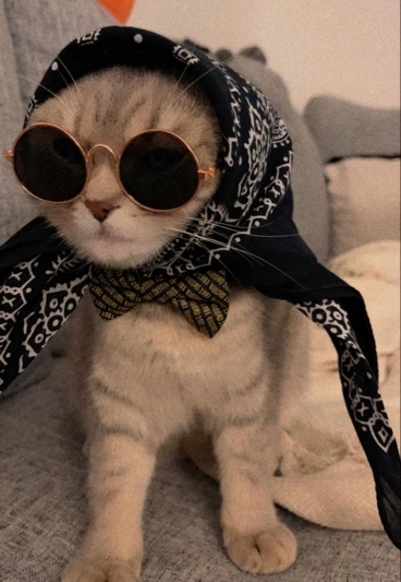 Merve