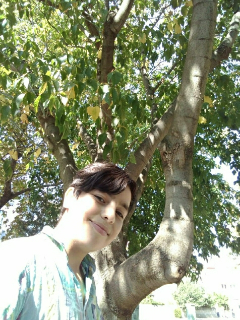 Ali