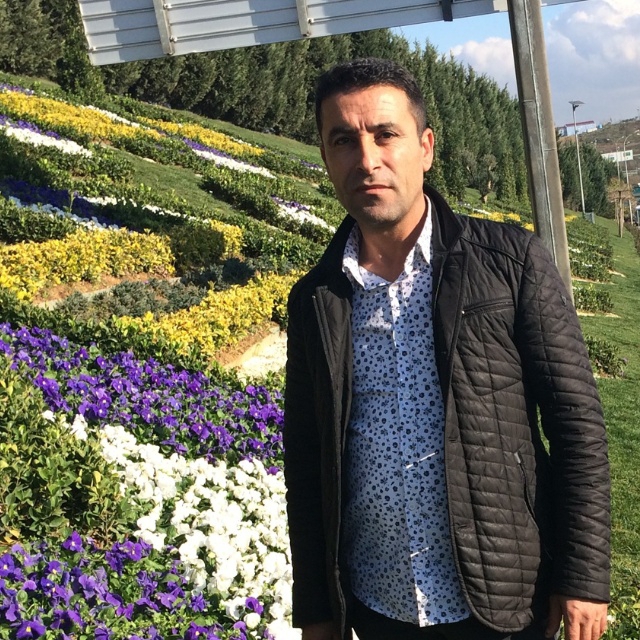 Şeref
