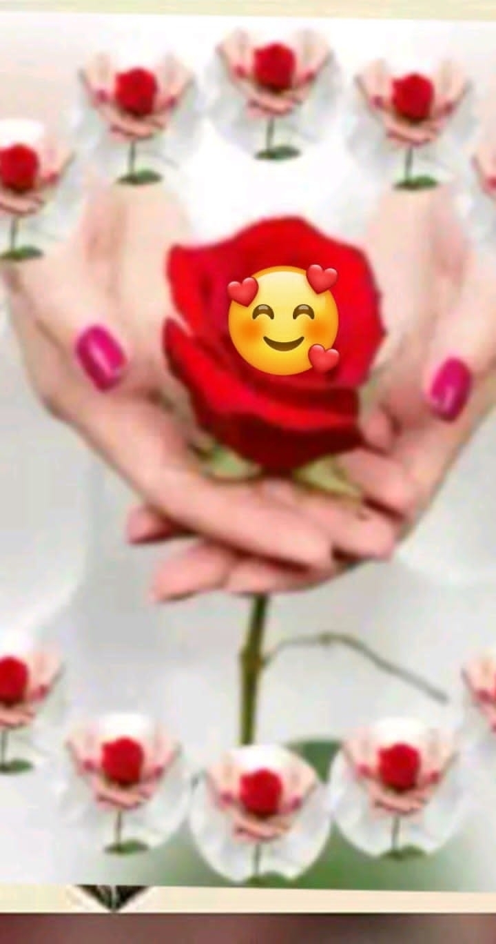 M Tanveer
