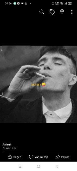 Haluk