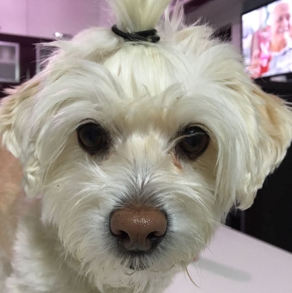 Zeynep