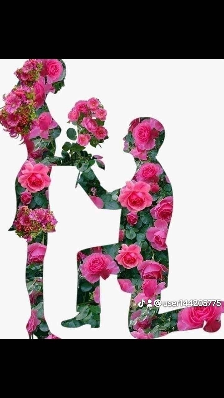 Abdo