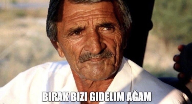 Mstf