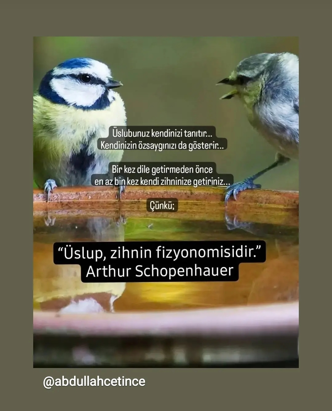 Songül