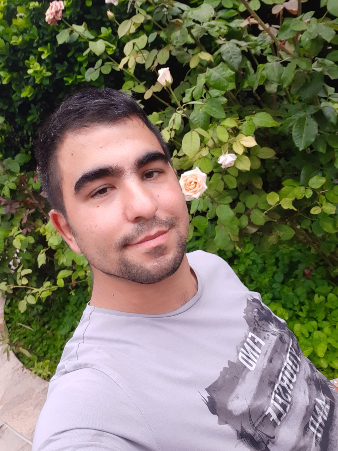 Arda
