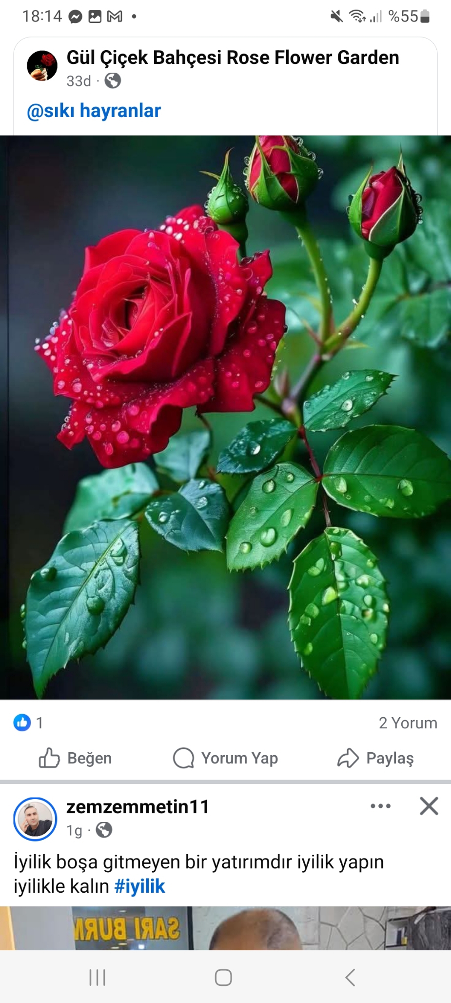EMİNE