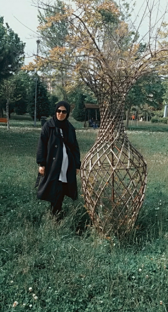 دوللي