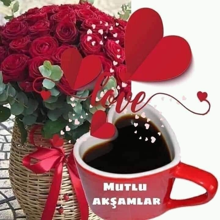 Tolga