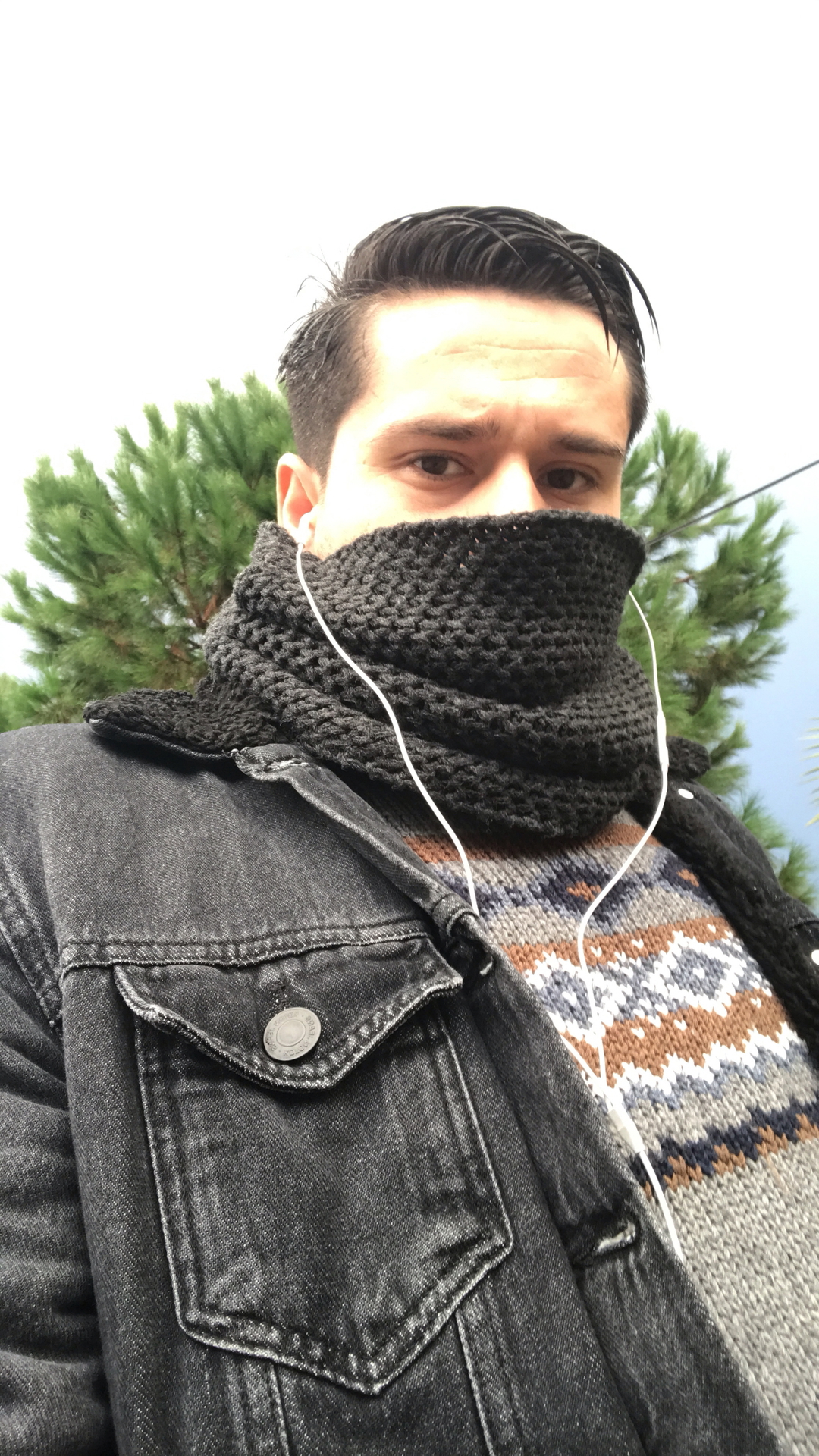 Şahin