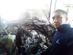 Murat