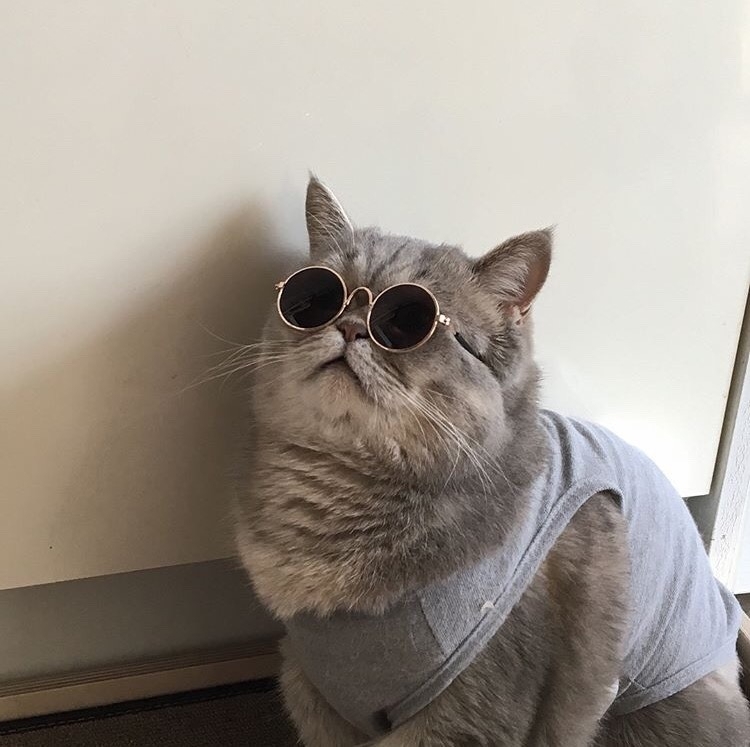 Kübra