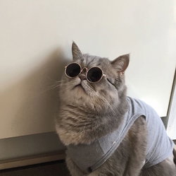 Kübra