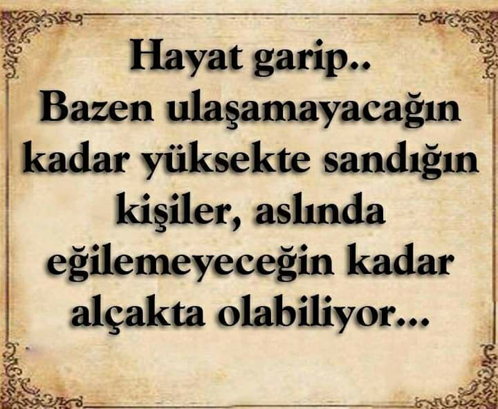 Nazli