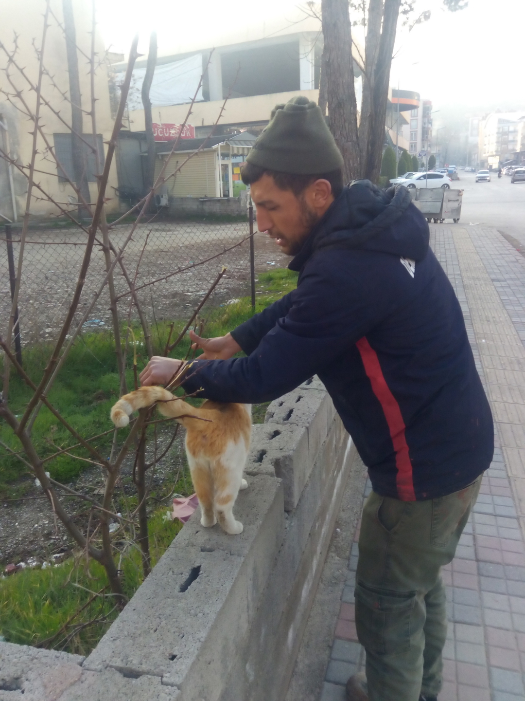 Bekir